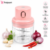 Trulycart Mini USB Rechargeable Electric Food Chopper (250ml)